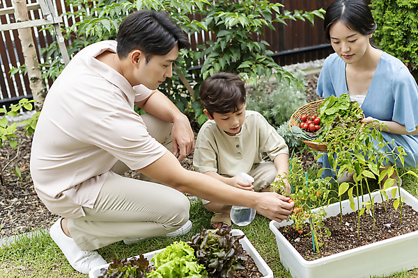 포토 JPG 주간 전신 응시 여자 남자 행복 어린이 가족 들기 소년 성인 야외 앞모습 옆모습 세명 30대 소쿠리 물뿌리개 한국인 잡기 가족라이프 물주기 웅크림 쌈채소 텃밭 홈파밍 자급자족라이프 국내포토 자연요소 라이프스타일 시선 감정 뷰포인트 밭 채소 관계 모션 사람 동양인 장년 바구니 농사 파일형식