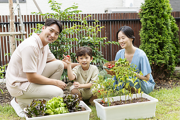 포토 JPG 주간 전신 응시 여자 남자 행복 어린이 가족 미소 들기 소년 성인 야외 앞모습 옆모습 세명 30대 소쿠리 한국인 가족라이프 웅크림 쌈채소 텃밭 홈파밍 자급자족라이프 국내포토 자연요소 라이프스타일 시선 감정 뷰포인트 밭 채소 관계 모션 표정 사람 동양인 장년 바구니 농사 파일형식