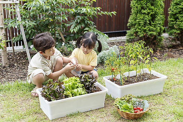 포토 JPG 주간 전신 여자 남자 어린이 가족 남매 들기 소녀 소년 상반신 야외 두명 앞모습 옆모습 소쿠리 물뿌리개 한국인 가족라이프 물주기 웅크림 쌈채소 텃밭 어린이만 홈파밍 자급자족라이프 국내포토 자연요소 라이프스타일 뷰포인트 밭 채소 관계 모션 사람 동양인 바구니 농사 파일형식