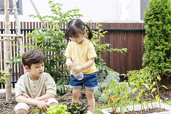 포토 JPG 주간 응시 여자 남자 어린이 가족 남매 서기 들기 소녀 소년 상반신 야외 두명 앞모습 물뿌리개 한국인 가족라이프 물주기 웅크림 쌈채소 텃밭 어린이만 홈파밍 자급자족라이프 국내포토 자연요소 라이프스타일 시선 뷰포인트 밭 채소 관계 모션 사람 동양인 농사 파일형식