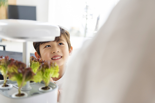 포토 JPG 응시 여자 남자 행복 어린이 가족 실내 미소 소년 상반신 성인 두명 앞모습 옆모습 30대 기계 한국인 가족라이프 소프트포커스 상추 홈파밍 자급자족라이프 국내포토 모자관계 라이프스타일 시선 감정 아들 뷰포인트 채소 관계 엄마 촬영기법 표정 사람 동양인 내부 장년 농사 파일형식