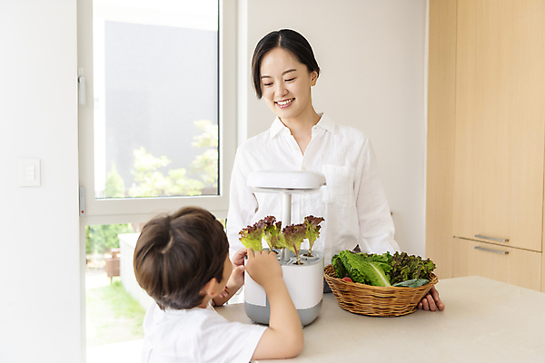 포토 JPG 응시 여자 남자 행복 어린이 가족 실내 미소 소년 상반신 성인 두명 앞모습 뒷모습 30대 소쿠리 기계 한국인 가족라이프 상추 홈파밍 자급자족라이프 아들바보 국내포토 모자관계 라이프스타일 시선 감정 아들 뷰포인트 채소 관계 엄마 표정 사람 동양인 내부 장년 바구니 농사 파일형식