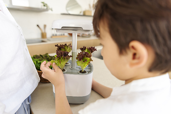 포토 JPG 여자 남자 행복 어린이 가족 실내 근접촬영 소년 상반신 성인 두명 옆모습 30대 기계 만지기 한국인 가족라이프 상추 홈파밍 자급자족라이프 국내포토 모자관계 라이프스타일 감정 아들 뷰포인트 채소 관계 모션 엄마 사람 동양인 내부 장년 농사 파일형식