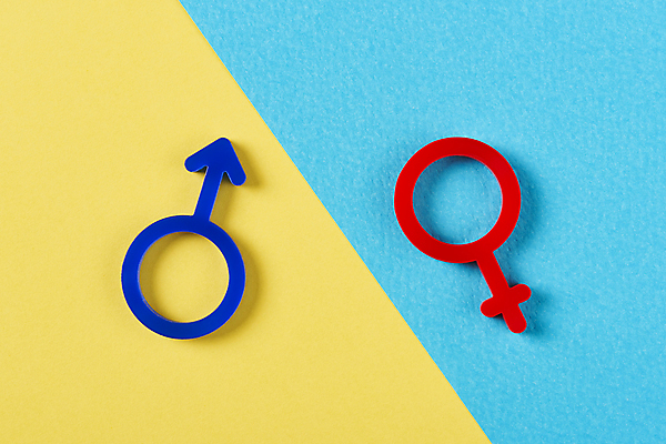 포토 JPG 스튜디오촬영 실내 사람없음 하이앵글 사회이슈 파란배경 갈등 성별 남자기호 노란배경 성차별 여자기호 차별 양성평등 젠더 국내포토 뷰포인트 백그라운드 컨셉 내부 파란색 노란색 성별기호 평등 파일형식