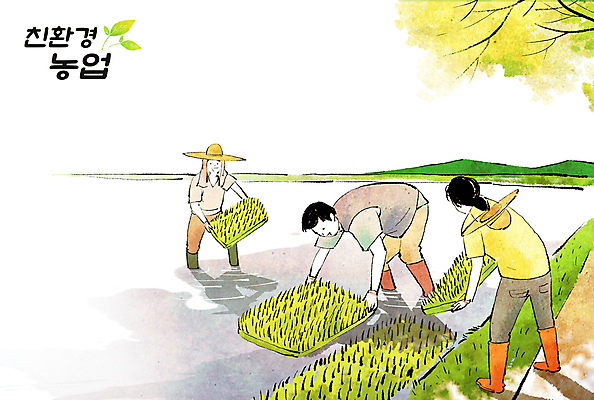 전신 PSD 여자 남자 농업 일러스트 가족 논 들기 성인 세명 여름 농사 벼 농촌 농부 친환경 귀농 벼농사 모내기 농업인의날 심기 성인만 국내일러스트 직업 계절 기념일 산업 관계 모션 곡류 사람 환경 시골 파일형식