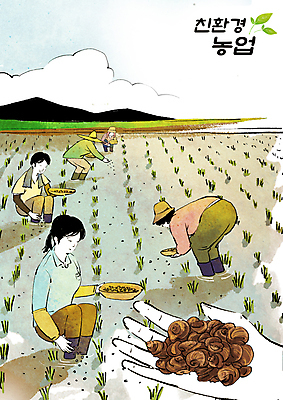 전신 PSD 구름 손 여자 남자 농업 일러스트 가족 논 들기 여러명 성인 신체부위 농사 벼 농촌 농부 뿌리기 친환경 귀농 벼농사 웅크림 농업인의날 우렁이 성인만 국내일러스트 자연요소 직업 기념일 산업 다수 관계 모션 곡류 사람 환경 시골 파일형식