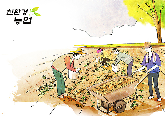 전신 PSD 나무 구름 여자 남자 농업 일러스트 가족 감자 서기 들기 여러명 성인 농사 수레 수확 농촌 농부 양동이 친환경 귀농 감자밭 농업인의날 성인만 국내일러스트 자연요소 식물 직업 기념일 산업 다수 밭 채소 관계 모션 사람 환경 카트 시골 파일형식