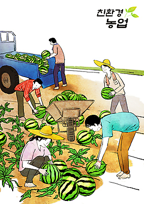 전신 PSD 여자 남자 농업 일러스트 여름음식 수박 들기 여러명 성인 여름 농사 트럭 수확 농촌 농부 친환경 귀농 웅크림 농업인의날 수박밭 외발수레 성인만 제철과일 국내일러스트 직업 계절 기념일 산업 음식 다수 밭 과일 모션 자동차 사람 환경 수레 시골 제철 파일형식 여름_계절