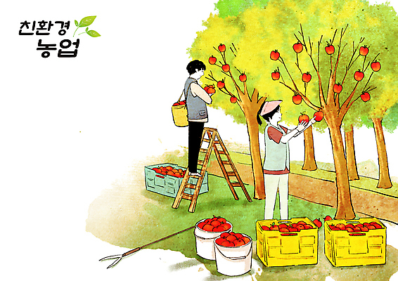 전신 PSD 부부 여자 남자 농업 일러스트 사다리 서기 들기 성인 두명 농촌 사과 농부 과수원 양동이 친환경 귀농 사과나무 전원생활 농업인의날 사과농장 사과따기 사과상자 수확철 성인만 국내일러스트 나무 직업 커플 기념일 산업 과일 모션 사람 생활 상자 농장 환경 수확 도구 시골 파일형식