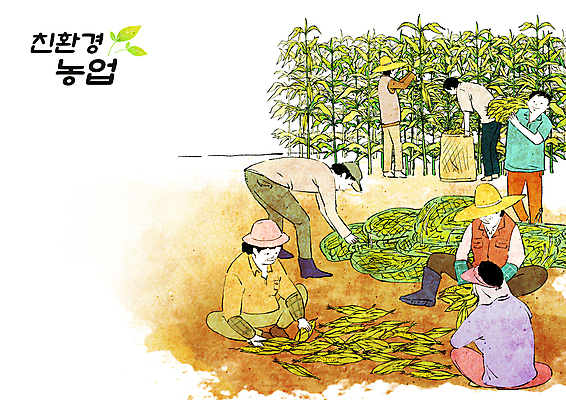 전신 PSD 여자 남자 중년 농업 일러스트 옥수수 들기 앉기 여러명 성인 농장 농사 수확 농촌 그물 농부 친환경 귀농 옥수수밭 전원생활 농업인의날 포대자루 국내일러스트 직업 기념일 산업 다수 밭 모션 곡류 사람 생활 환경 시골 자루 파일형식