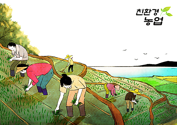 전신 PSD 여자 남자 바다 농업 일러스트 갈매기 허리숙이기 들기 여러명 성인 농사 농촌 농부 친환경 귀농 전원생활 모내기 계단식논 농업인의날 다랭이논 성인만 국내일러스트 직업 기념일 산업 다수 모션 조류 논 숙이기 사람 생활 환경 시골 파일형식