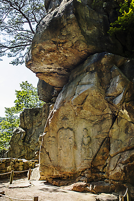포토 JPG 주간 나무 불교 사람없음 야외 절벽 충청남도 암벽 불상 서산 국내포토 자연요소 식물 종교 충청도 파일형식