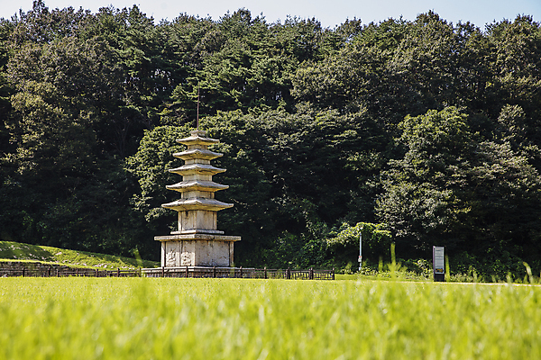 포토 JPG 주간 나무 불교 사람없음 야외 석탑 충청남도 서산 오층석탑 국내포토 자연요소 식물 종교 탑 충청도 파일형식