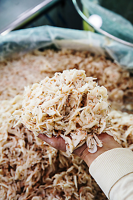 포토 JPG 손 들기 사람없음 아웃포커스 신체부위 충청남도 새우젓 젓갈 홍성 국내포토 음식 모션 촬영기법 사람 충청도 파일형식