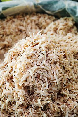 포토 JPG 사람없음 충청남도 가득함 새우젓 홍성 국내포토 충청도 젓갈 파일형식