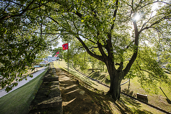 포토 JPG 주간 나무 사람없음 야외 문화재 깃발 충청남도 성벽 홍성 홍주읍성 국내포토 자연요소 식물 성 충청도 파일형식