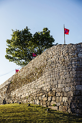 포토 JPG 주간 나무 하늘 사람없음 야외 문화재 깃발 충청남도 성벽 홍성 홍주읍성 국내포토 자연요소 식물 성 충청도 파일형식