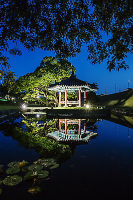 포토 JPG 야경 조명 사람없음 야외 연못 충청남도 버드나무 정자 홍성 국내포토 나무 건축물 야간 충청도 파일형식 풍경_경치
