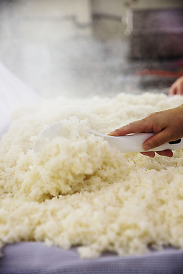 포토 JPG 손 재료 실내 들기 신체부위 수증기 막걸리 경기도 밥주걱 고두밥 젓기 국내포토 여주시 모션 밥 주류 한국 사람 내부 주걱 파일형식