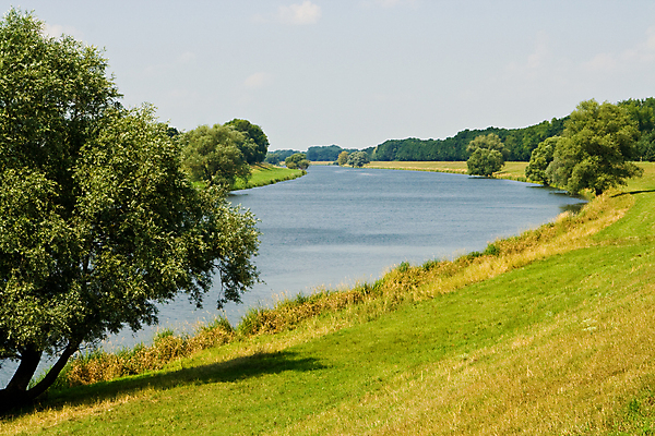 포토 JPG 해외이미지 나무 자연 하늘 독일 사람없음 야외 가로 초록색 물 파란색 강 햇빛 해외포토 자연요소 식물 유럽 컬러 태양 생태계 파일형식 이미지허브