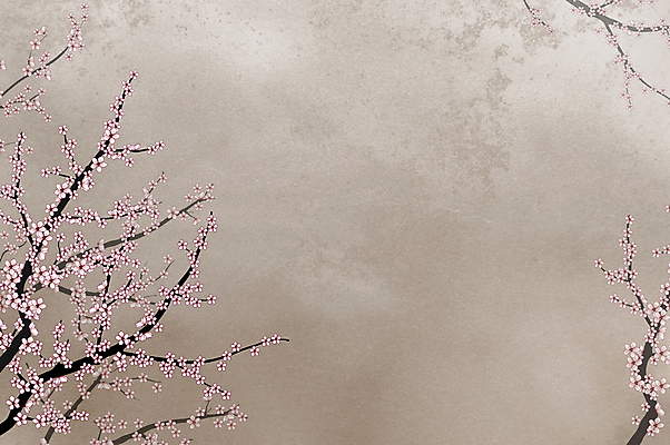 포토 JPG 해외이미지 나무 계절 꽃 종이 벽 백그라운드 꽃무늬 패턴 자연 벽지 동양인 사람없음 장식 장미 일본 중국 봄 수확 벚꽃 흰색 점 얼룩 거친 개화 체리 우아함 질감 내추럴 그런지 스크랩북 양피지 옛날 중고 해외포토 식물 아시아 컬러 컨셉 무늬 농업 과일 인종 생태계 파일형식 이미지허브