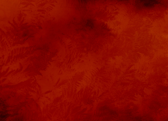 포토 JPG 해외이미지 식물 계절 벽 백그라운드 잎 오렌지 자연 벽지 불 불꽃 사람없음 장식 빨간색 정원 카펫 수확 가을 뜨거움 우아함 매끈함 숲 인쇄 9월 11월 실크 질감 부드러움 문제 10월 블러 생태학 양치류 벨벳 효과 해외포토 자연요소 교육 컬러 컨셉 농업 과일 직물 감각 날짜 생태계 파일형식 이미지허브