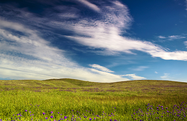 포토 JPG 해외이미지 구름 계절 백그라운드 밭 농업 자연 하늘 날씨 휴가 풍경 초원 사람없음 야외 초록색 여름 파란색 컬러풀 햇빛 태양 환경 봄 활발 시골 땅 장면 내추럴 평야 수평선 해외포토 자연요소 산업 컬러 컨셉 생태계 파일형식 이미지허브