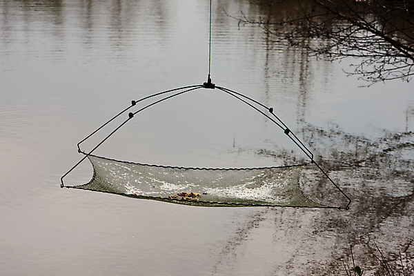 포토 JPG 해외이미지 호수 자연 낚시 어류 사람없음 야외 가로 물 강 회색 연못 유혹 국자 각도 미끼 해외포토 자연요소 컬러 컨셉 주방용품 레저 수중동물 생태계 파일형식 이미지허브