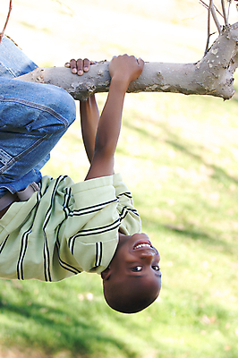 포토 JPG 해외이미지 나무 남자 행복 얼굴 어린이 셔츠 매달리기 한명 웃음 사람 소년 초록색 검은색 기쁨 치아 해외포토 식물 1 감정 컬러 상의 모션 표정 신체부위 소화기관 파일형식 이미지허브