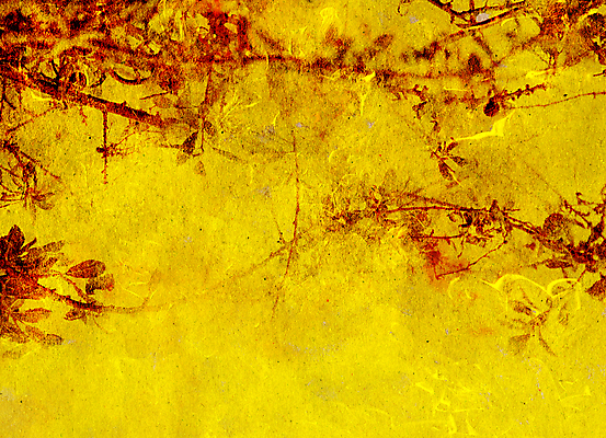 포토 JPG 해외이미지 식물 종이 백그라운드 오렌지 벽지 표면 날씨 추상 건조 미술 사람없음 목재 그래픽 장식 빨간색 노란색 페인트 신선 거친 천 질감 결 스크래치 그런지 썩음 자취 핸드메이드 아크릴 효과 해외포토 나무 컬러 무늬 과일 재료 재질 문화예술 직물 파일형식 이미지허브