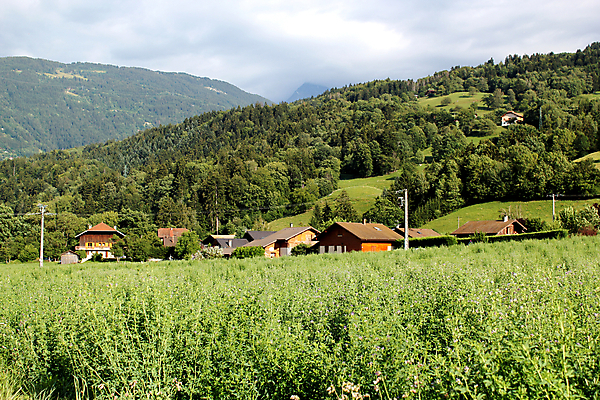 포토 JPG 해외이미지 주간 산 주택 사람없음 야외 마을 프랑스 시골 해외포토 자연요소 유럽 건물 파일형식 이미지허브
