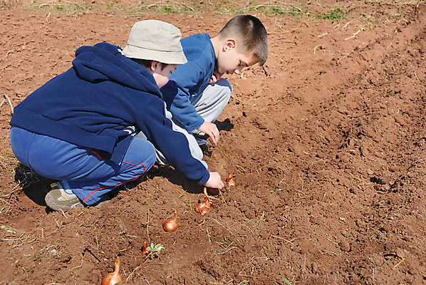 포토 JPG 해외이미지 식물 문화 어린이 농업 채소 전구 자연 놀이 양파 노동자 소년 야외 두명 농장 정원 흙 봄 성장 작업 농부 유기농 원예 날것 형제 먼지 내추럴 땅바닥 밭일 파종 해외포토 직업 웰빙 계절 남자 산업 가족 바닥 사람 취미 농사 생태계 파일형식 이미지허브