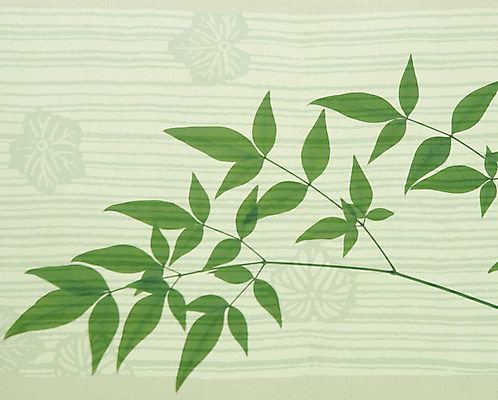 포토 JPG 해외이미지 식물 백그라운드 잎 자연 동양인 사람없음 가로 초록색 나뭇가지 카피스페이스 해외포토 나무 컬러 인종 공백 생태계 파일형식 이미지허브