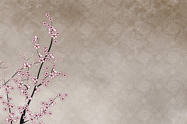 포토 JPG 해외이미지 나무 계절 꽃 종이 벽 백그라운드 꽃무늬 패턴 자연 벽지 동양인 사람없음 장식 장미 일본 중국 봄 수확 벚꽃 흰색 점 얼룩 거친 개화 체리 우아함 질감 내추럴 그런지 스크랩북 양피지 옛날 중고 해외포토 식물 아시아 컬러 컨셉 무늬 농업 과일 인종 생태계 파일형식 이미지허브