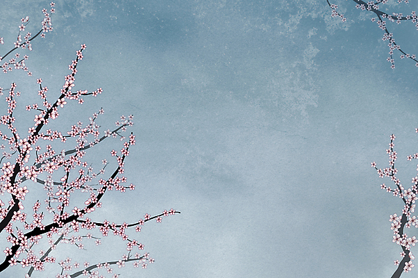 포토 JPG 해외이미지 나무 계절 꽃 종이 벽 백그라운드 꽃무늬 패턴 자연 벽지 동양인 사람없음 장식 파란색 장미 일본 중국 봄 수확 벚꽃 흰색 점 얼룩 거친 개화 체리 우아함 질감 내추럴 그런지 스크랩북 양피지 옛날 중고 해외포토 식물 아시아 컬러 컨셉 무늬 농업 과일 인종 생태계 파일형식 이미지허브