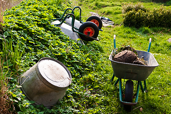 포토 JPG 해외이미지 식물 농업 초원 사람없음 야외 가로 초록색 농장 금속 정원 수레 장비 회색 공구 원예 해외포토 산업 컬러 재질 취미 카트 도구 파일형식 이미지허브