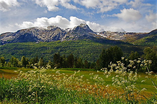 포토 JPG 해외이미지 꽃 밭 골프장 자연 하늘 산 건강 노르웨이 사람없음 맑음 침묵 하이킹 시골 정상 숲 장면 스칸디나비아 절정 파라다이스 해외포토 식물 유럽 농업 골프 스포츠시설 레저 날씨 소리 생태계 파일형식 이미지허브