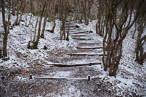 포토 JPG 해외이미지 나무 계절 공원 도로 길 백그라운드 크리스마스 겨울 자국 자연 날씨 사람없음 야외 목재 평화 계단 냉동 얼음 산책 추위 흰색 시골 고독 숲 신비 시원함 오솔길 서리 장면 암초 내추럴 루트 방법 선로 눈내림 해외포토 자연요소 식물 공공시설 기념일 감정 컬러 컨셉 재료 교통시설 휴식 눈_날씨 생태계 파일형식 이미지허브