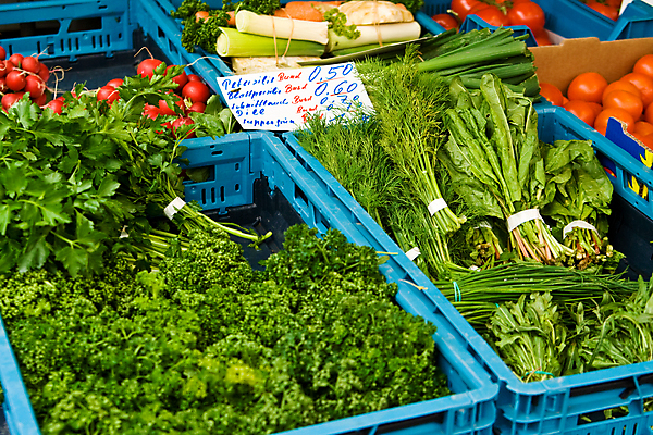 포토 JPG 해외이미지 음식 토마토 채소 파슬리 사람없음 가로 초록색 파란색 판매 세일 시장 허브 날것 쪽파 딜 총각무 해외포토 식물 컬러 무 파 파일형식 이미지허브