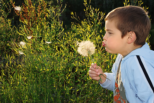 포토 JPG 해외이미지 식물 손 남자 꽃 어린이 놀이 아침 씨앗 한명 소년 야외 햇빛 희망 봄 꿈 성장 잡기 작음 큼 민들레 불기 소원 알레르기 타격 해외포토 주간 1 계절 감정 모션 사람 신체부위 태양 질병 크기 파일형식 이미지허브