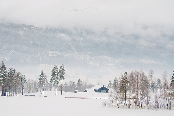 포토 JPG 해외이미지 주간 나무 겨울 자연 산 주택 사람없음 목재 회색 추위 안개 흰색 숲 작음 스칸디나비아 혼자 해외포토 자연요소 식물 계절 컬러 재료 날씨 건물 크기 생태계 파일형식 이미지허브