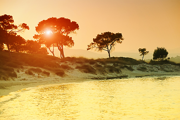 포토 JPG 해외이미지 나무 실루엣 유럽 모래 바다 여행 오렌지 자연 하늘 아침 휴가 사람없음 물 빛 컬러풀 햇빛 태양 노란색 여행객 평화 일출 맑음 일몰 새벽 낭만 황금 그리스 그림 휴양지 내추럴 수평선 해외포토 주간 자연요소 식물 나라 컬러 컨셉 과일 날씨 촬영기법 사람 노을 장소 생태계 파일형식 이미지허브