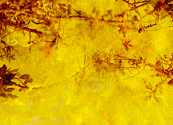 포토 JPG 해외이미지 식물 종이 백그라운드 오렌지 벽지 표면 날씨 추상 건조 미술 사람없음 목재 그래픽 장식 빨간색 노란색 페인트 신선 거친 질감 결 스크래치 그런지 썩음 자취 핸드메이드 아크릴 효과 해외포토 나무 컬러 무늬 과일 재료 재질 문화예술 파일형식 이미지허브