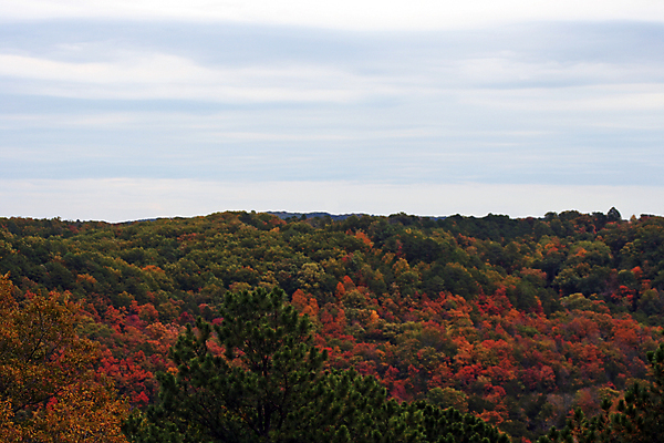 포토 JPG 해외이미지 나무 식물 응시 공원 잎 자연 안테나 파노라마 사람없음 야외 초록색 컬러풀 평화 환경 덮개 시골 황무지 숲 언덕 산등성이 삼림지대 전국 해외포토 시선 공공시설 컬러 컨셉 통신 산 촬영기법 뚜껑 생태계 파일형식 이미지허브