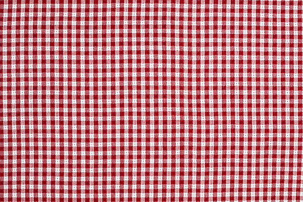 포토 JPG 해외이미지 할머니 백그라운드 패턴 탁자 표면 사람없음 빨간색 소풍 이탈리아 덮개 식탁보 흰색 직물 면 플랫 정상 담요 질감 체크무늬 구식 깅엄 수표 옛날 직진 핸드메이드 해외포토 여자 노년 유럽 컬러 가구 무늬 야외활동 뚜껑 파일형식 이미지허브