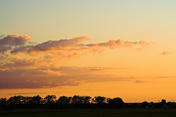 포토 JPG 해외이미지 나무 밭 자연 하늘 사람없음 초록색 파란색 햇빛 일몰 흰색 시골 저녁 밭일 해외포토 식물 컬러 농업 태양 노을 야간 생태계 파일형식 이미지허브