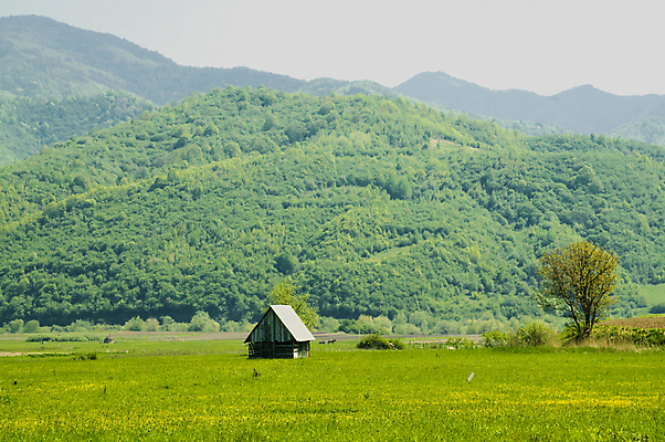 포토 JPG 해외이미지 주간 자연 산 주택 사람없음 야외 고요 시골 해외포토 자연요소 건물 생태계 파일형식 이미지허브