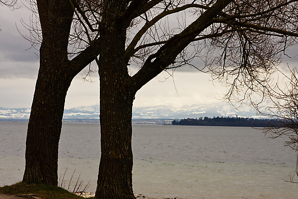 포토 JPG 해외이미지 나무 호수 겨울 자연 하늘 산 독일 사람없음 가로 물 회색 시골 알프스 흐림 해외포토 자연요소 식물 계절 유럽 컬러 날씨 생태계 파일형식 이미지허브