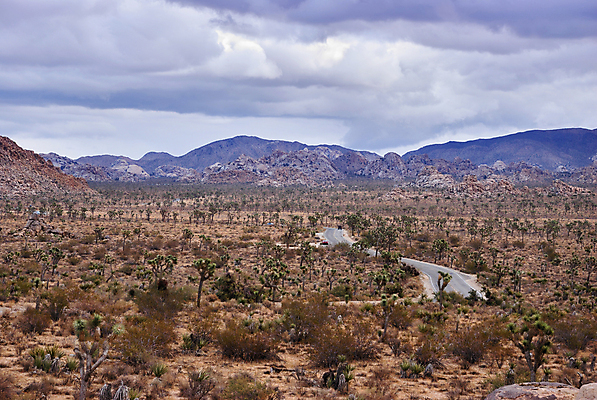 포토 JPG 해외이미지 모양 나무 식물 구름 공원 모래 여행 밭 오렌지 자연 하늘 산 건조 따뜻함 풍경 사람없음 야외 빨간색 초록색 여름 파란색 태양 계곡 미국 사막 바위 뜨거움 황무지 언덕 캘리포니아 내추럴 서쪽 전국 해외포토 자연요소 계절 공공시설 컬러 북아메리카 농업 과일 돌_바위 방향 생태계 파일형식 이미지허브