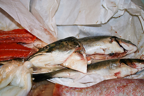 포토 JPG 해외이미지 음식 어류 요리 사람없음 가로 신선 구매 준비 날것 성분 해외포토 쇼핑 수중동물 파일형식 이미지허브